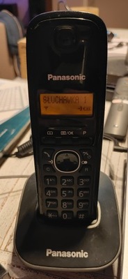 Telefon bezprzewodowy Panasonic KX-TG1611PDH