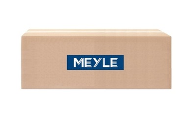 PROTECTION SHOCK ABSORBER MEYLE 100 513 0006  