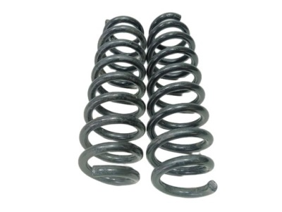 Пружини задній bmw e87 бензин фото №1