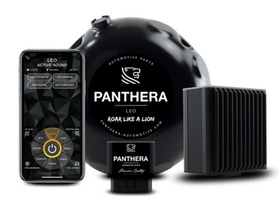 АКТИВНЫЙ ВЫХЛОП PANTHERA LEO 6.0 (BOXER | R4 | R6| V6 | V8 | V12 | E-SOUND) фото