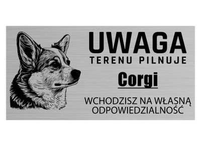 Uwaga PIES TERENU PILNUJE Pembroke Welsh Corgi