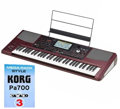 KORG Pa1000 KEYBOARD + STYLE | mp3 HDMI Harmonizer | w 24h
