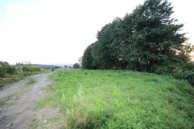 Działka, Gębiczyna, Pilzno (gm.), 1097 m²