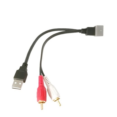 USB Żeński do 2 Audio Video