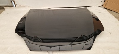 Tesla s plaid 21- капот фото №1