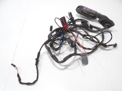 Джгут двері права передня bmw x5 e70 eu фото №1