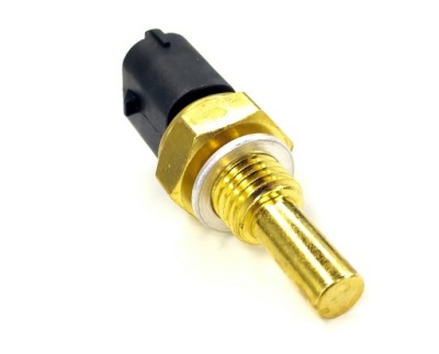 Датчик температуры wody ducato iveco daily фото №1