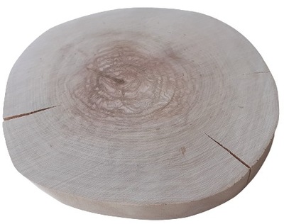 Plastry drewniane krążki brzoza BEZ KORY 23-30 cm