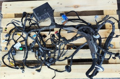 Джгут відсік двигуна 3.0 v6 maserati ghibli 2015 фото №1