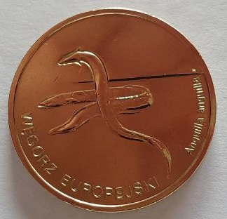 Moneta 2zł WĘGORZ EUROPEJSKI - 2003r.