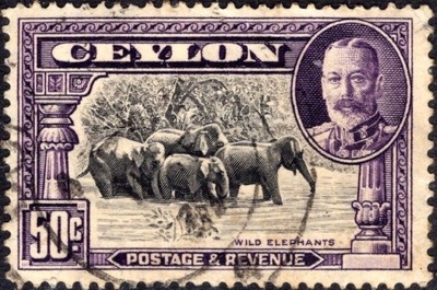 kol.bryt.Ceylon KGV 50 c.