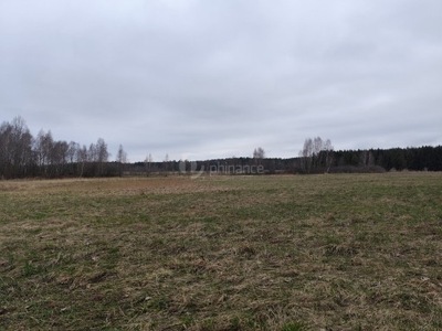 Działka, Bohutyn, Sosnowica (gm.), 21396 m²