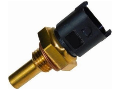 Датчик температури wody automega 150101510 фото №1