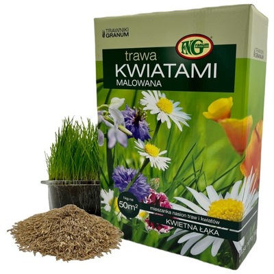 TRAWA Kwiatami Malowana Łąka Kwiatowa Ogrodowa 1kg