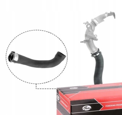 Шланг wąż интеркулер радиатора воздуха gates do dacia dokker фото №1