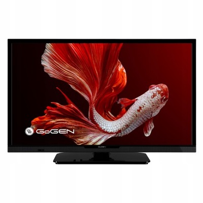 Telewizor GoGEN LED HD 24 cale USB HDMI DVBT2 CI