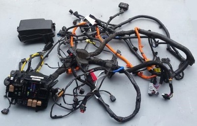 Жгут отсек двигателя hyundai kona электрик фото №1