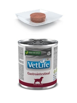 Farmina Vet Life Dog Gastrointestinal 300g