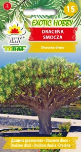 Dracena smocza 5 szt. nasion egzotyczna roślina