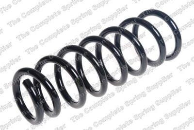 SPRING SUSPENSION 4256901  