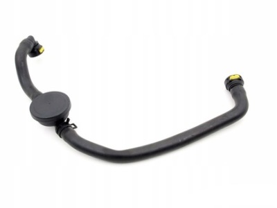 Вентиляція картера клапан вентиляція картера megane scenic clio kangoo 1.9d dci фото №1