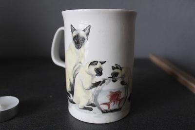 KUBEK, KOTY, ROY KIRKHAM, ANGLIA 24/634