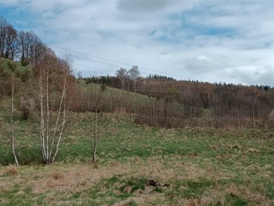 Działka, Jedlina-Zdrój, 9340 m²