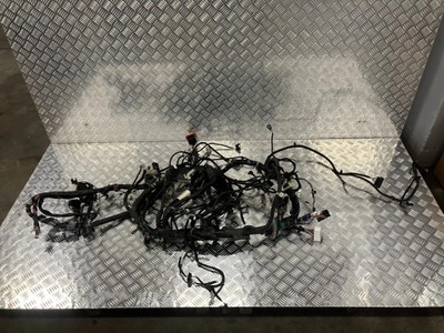 Жгут лонжерон левый ford ranger 19- 2.0 ecoblue kb3t-14290-lnf фото №1