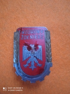 Odznaka Wzorowy Żołnierz