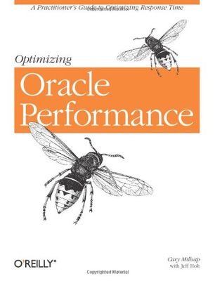 Optimizing Oracle Performance