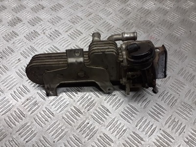 Радіатор вихлопних газів seat leon ii 1.9 tdi 038131513ad фото №1