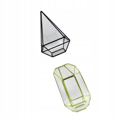 2 . Geometryczna szklana doniczka Terrarium