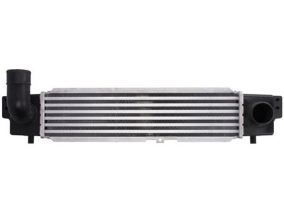 INTERCOOLER THERMOTEC DA03001TT  