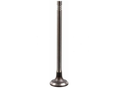 Клапан впускний renault talisman 1.6 mercedes klasa c w205 1.6 s205 1.6 фото №1