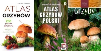 Atlas grzybów + Polski + Grzyby Snowarski