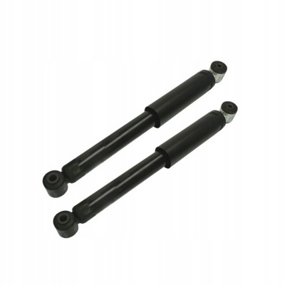 2 x амортизаторы задняя набор peugeot 1007 05- citroen c2 c3 фото №1