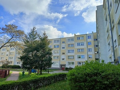 Mieszkanie, Poznań, Stare Miasto, 50 m²