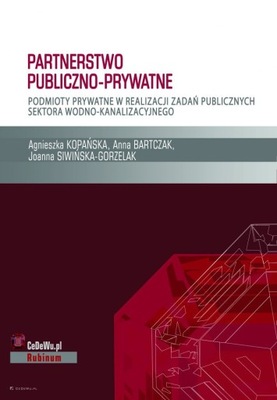 Partnerstwo publiczno-prywatne podmioty prywatne