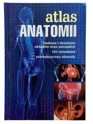 Atlas anatomii anatomiczny budowa człowieka