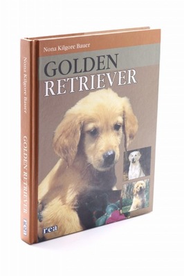 Golden Retriever Bauer