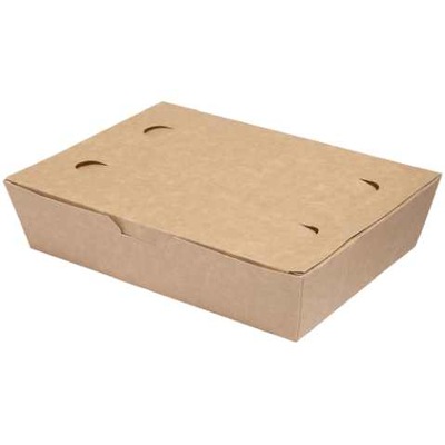 Pudełko tekturowe pojemnik food box 10x20x5cm 100x
