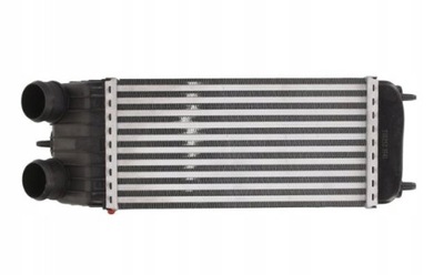 Интеркулер peugeot 1007 207 1.6 hdi фото №1