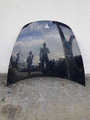 Капот кришка двигуна tesla 3 фото №1