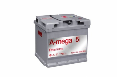 AMEGA PREMIUM M5 12V 45AH 450A