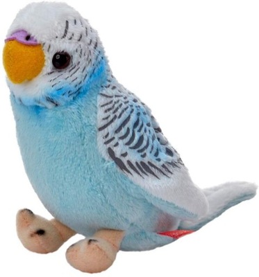 Papuga falista niebieska 13cm