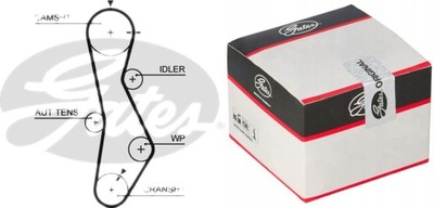 Ремень распределительного вала hyundai elantra 2.0, accent, pony 1 фото №1