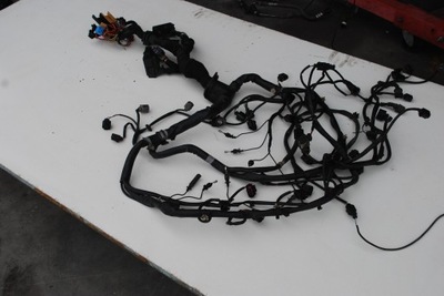 JUEGO DE CABLES DEL MOTOR AUDI A8 D3 4.2 TDI EU 4E1971713BH  