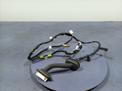 Lexus ux 250h жгут электропроводка дверь задняя задних левых 82154 фото №1