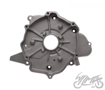 RECUBRIMIENTO DEL MOTOR IZQUIERDA PARA ATV BASHAN BS250S-5  