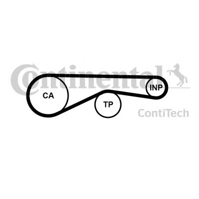 DIRŽELIS SKIRSTYMO SISTEMOS CONTITECH CT1194 AUDI A8 